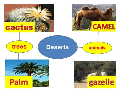 Bài giảng Tiếng Anh Lớp 12 - Unit 9: Deserts - Part B: Speaking