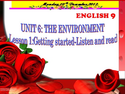 Bài giảng Tiếng Anh Lớp 9 - Unit 6: The environment - Lesson 1: Getting started