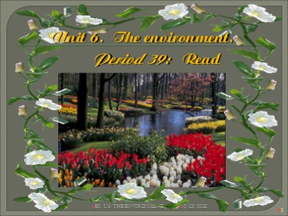 Bài giảng Tiếng Anh Lớp 9 - Unit 6: The environment - Lesson 3: Read