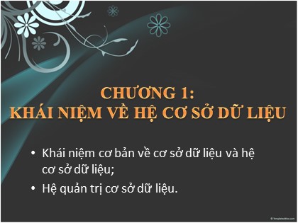 Bài giảng Tin học Lớp 12 - Bài 1: Một số khái niệm cơ bản