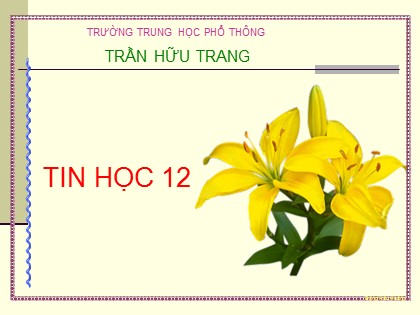 Bài giảng Tin học Lớp 12 - Bài tập và thực hành 10: Hệ cơ sở dữ liệu quan hệ - Trường THPT Trần Hữu Trang