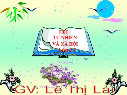 Bài giảng Tự nhiên và xã hội Lớp 3 - Tiết 13: Hoạt động thần kinh - Lê Thị Lài