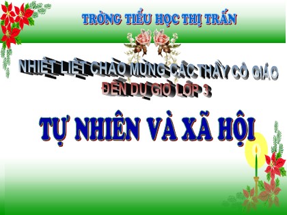 Bài giảng Tự nhiên và xã hội Lớp 3 - Tiết 24: Một số hoạt động ở trường