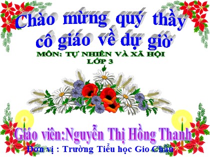 Bài giảng Tự nhiên và xã hội Lớp 3 - Tiết 26: Không chơi các trò chơi nguy hiểm - Nguyễn Thị Hồng Thanh