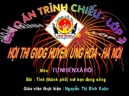 Bài giảng Tự nhiên và xã hội Lớp 3 - Tiết 27: Tỉnh (thành phố) nơi bạn đang sống - Nguyễn Thị Bích Xuân