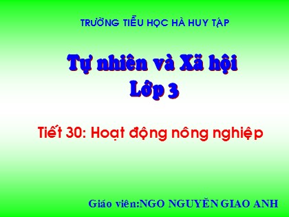 Bài giảng Tự nhiên và xã hội Lớp 3 - Tiết 30: Hoạt động nông nghiệp - Nguyễn Giao Anh