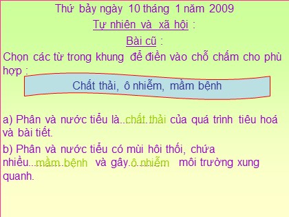 Bài giảng Tự nhiên và xã hội Lớp 3 - Tiết 40: Thực vật