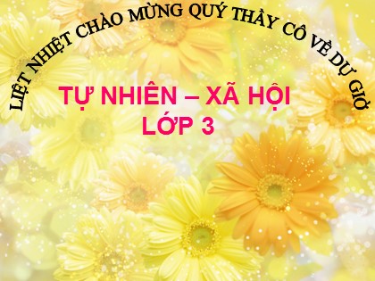 Bài giảng Tự nhiên và xã hội Lớp 3 - Tiết 47: Hoa