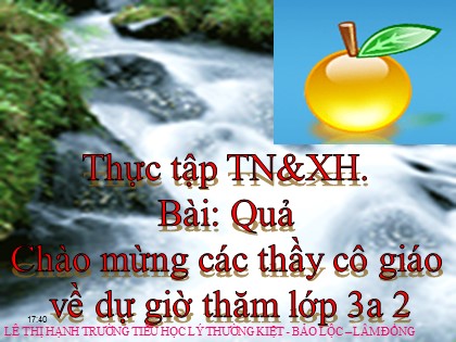 Bài giảng Tự nhiên và xã hội Lớp 3 - Tiết 48: Quả - Lê Thị Hạnh