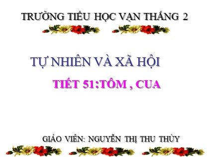 Bài giảng Tự nhiên và xã hội Lớp 3 - Tiết 51: Tôm, cua - Nguyễn Thị Thu Thủy