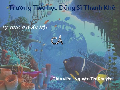 Bài giảng Tự nhiên và xã hội Lớp 3 - Tiết 52: Cá - Nguyễn Thị Khuyên