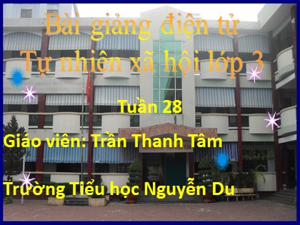 Bài giảng Tự nhiên và xã hội Lớp 3 - Tiết 56: Mặt trời - Trần Thanh Tâm