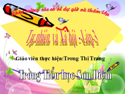 Bài giảng Tự nhiên và xã hội Lớp 3 - Tiết 6: Máu và cơ quan tuần hoàn - Trương Thị Trang