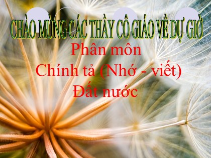 Bài giảng Chính tả Lớp 5 - Tuần 29 - Nhớ viết: Đất nước - Năm học 2016-2017