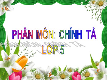 Bài giảng Chính tả Lớp 5 - Tuần 32 - Nhớ viết: Bầm ơi - Năm học 2016-2017