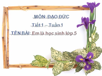 Bài giảng Đạo đức Lớp 5 - Tuần 1 - Tiết 1: Em là học sinh lớp 5 - Năm học 2016-2017