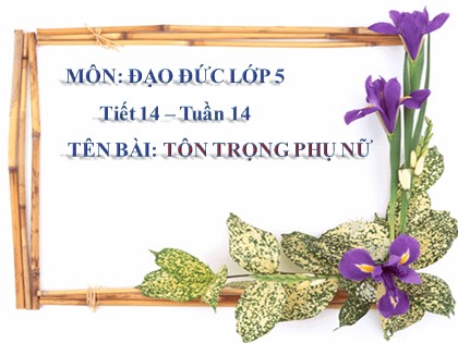 Bài giảng Đạo đức Lớp 5 - Tuần 14 - Tiết 14: Tôn trọng phụ nữ - Năm học 2016-2017