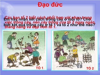 Bài giảng Đạo đức Lớp 5 - Tuần 17 - Bài: Hợp tác với những người xung quanh Bài giảng Đạo đức Lớp 5 - Tuần 17 - Bài: Hợp tác với những người xung quanh