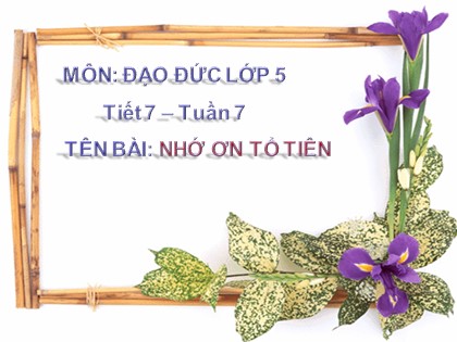 Bài giảng Đạo đức Lớp 5 - Tuần 7 - Tiết 7: Nhớ ơn tổ tiên - Năm học 2016-2017
