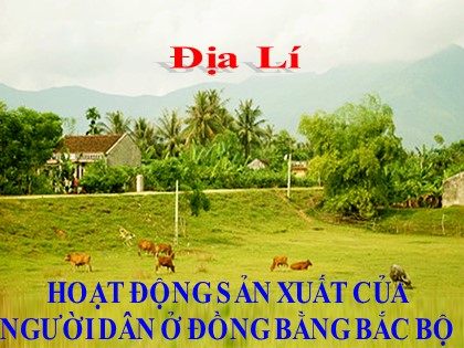 Bài giảng Địa lí Lớp 4 - Tuần 14 - Bài: Hoạt động sản xuất của người dân ở đồng bằng Bắc Bộ