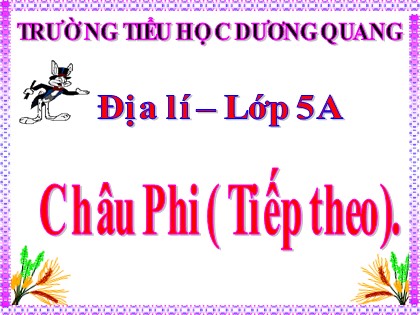 Bài giảng Địa lí Lớp 5 - Tuần 26 - Bài: Châu Phi (Tiếp theo) - Trường Tiểu học Dương Quang