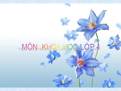 Bài giảng Khoa học 4 - Bài 17: Phòng tránh tai nạn đuối nước