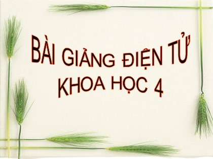 Bài giảng Khoa học 4 - Bài 24: Nước cần cho sự sống