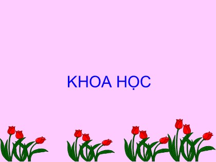 Bài giảng Khoa học 4 - Bài 40: Bảo vệ bầu không khí trong sạch