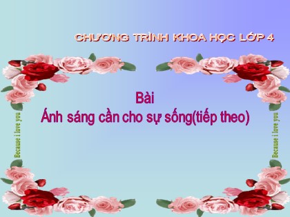 Bài giảng Khoa học 4 - Bài 49: Ánh sáng cần cho sự sống (Tiếp theo)