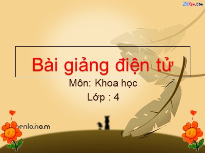 Bài giảng Khoa học 4 - Bài 51: Nóng, lạnh và nhiệt độ (Tiếp theo)