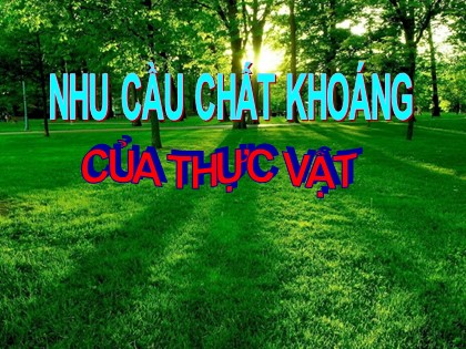 Bài giảng Khoa học 4 - Bài 59: Nhu cầu chất khoáng của thực vật