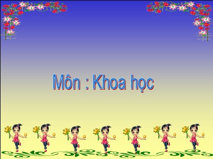 Bài giảng Khoa học 4 - Bài 62: Động vật cần gì để sống ?