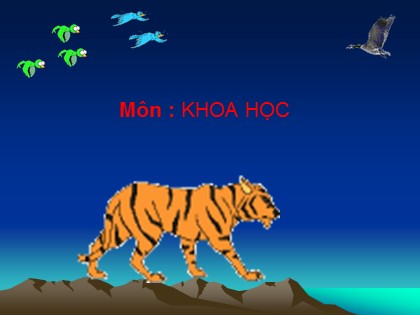 Bài giảng Khoa học 4 - Bài 64: Trao đổi chất ở động vật