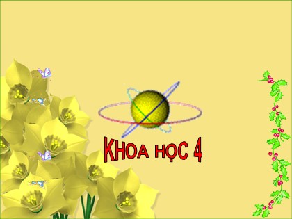 Bài giảng Khoa học 4 - Bài 66: Chuỗi thức ăn trong tự nhiên