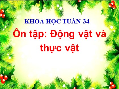 Bài giảng Khoa học 4 - Bài 67, 68: Ôn tập: Động vật và thực vật