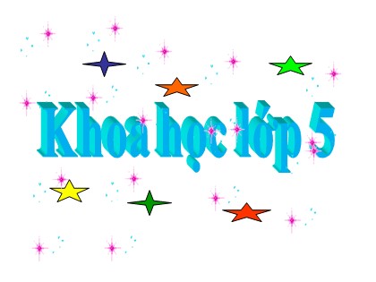 Bài giảng Khoa học Khối 5 - Tuần 18 - Bài: Sự chuyển thể của chất