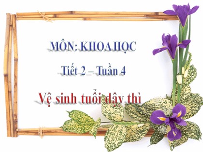 Bài giảng Khoa học Khối 5 - Tuần 4 - Bài: Vệ sinh tuổi dậy thì
