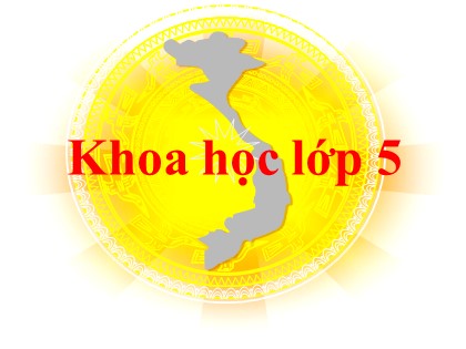 Bài giảng Khoa học Khối 5 - Tuần 9 - Bài: Phòng tránh bị xâm hại