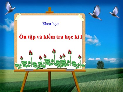 Bài giảng Khoa học Lớp 4 - Tuần 17 - Bài: Ôn tập và kiểm tra học kì 1