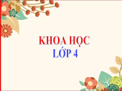 Bài giảng Khoa học Lớp 4 - Tuần 7 - Bài: Phòng một số bệnh lây qua đường tiêu hóa - Năm học 2021-2022