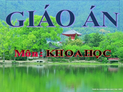 Bài giảng Khoa học Lớp 4 - Tuần 8 - Bài 15: Bạn cảm thấy thế nào khi bị bệnh