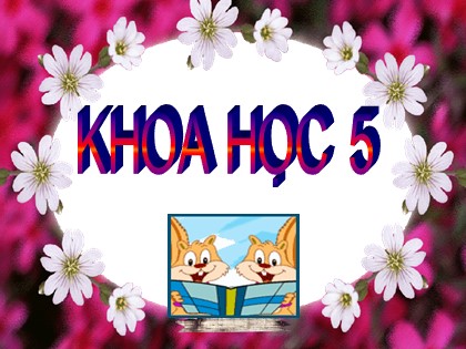 Bài giảng Khoa học Lớp 5 - Tuần 10 - Bài: Ôn tập con người và sức khỏe (Tiết 2) - Năm học 2016-2017