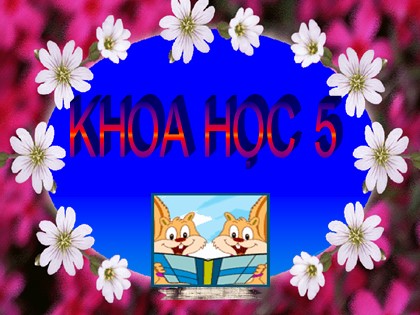 Bài giảng Khoa học Lớp 5 - Tuần 10 - Bài: Phòng tránh tai nạn giao thông đường bộ - Năm học 2016-2017