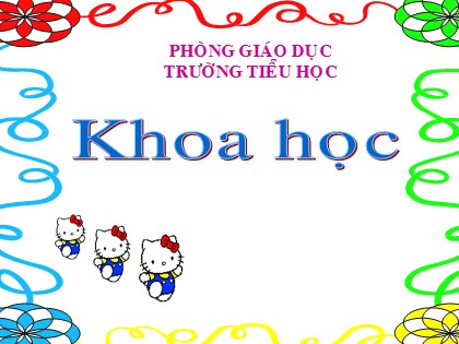Bài giảng Khoa học Lớp 5 - Tuần 11 - Bài: Ôn tập con người và sức khỏe (Tiết 1)