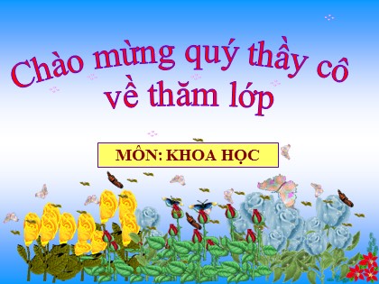Bài giảng Khoa học Lớp 5 - Tuần 11 - Bài: Tre, mây, song - Năm học 2016-2017