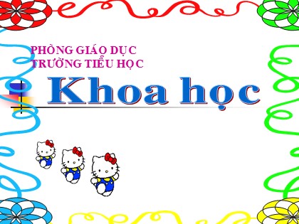 Bài giảng Khoa học Lớp 5 - Tuần 11 - Bài: Tre, mây, song