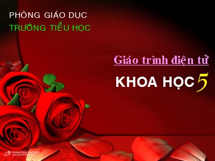 Bài giảng Khoa học Lớp 5 - Tuần 12 - Bài: Đồng và hợp kim của đồng