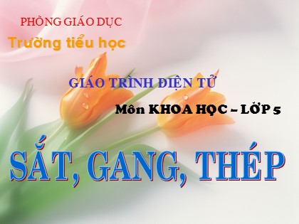 Bài giảng Khoa học Lớp 5 - Tuần 12 - Bài: Sắt, gang, thép