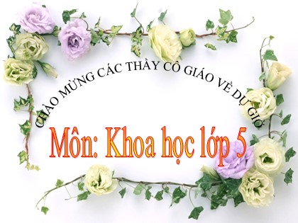 Bài giảng Khoa học Lớp 5 - Tuần 14 - Bài: Gốm xây dựng, gạch ngói