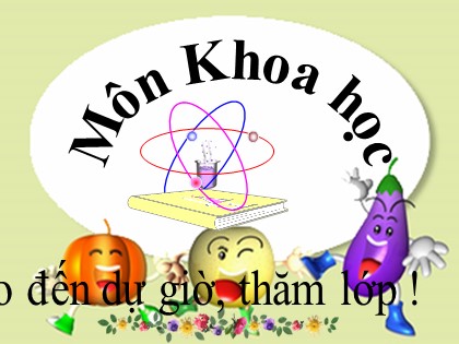 Bài giảng Khoa học Lớp 5 - Tuần 14 - Bài: Xi măng